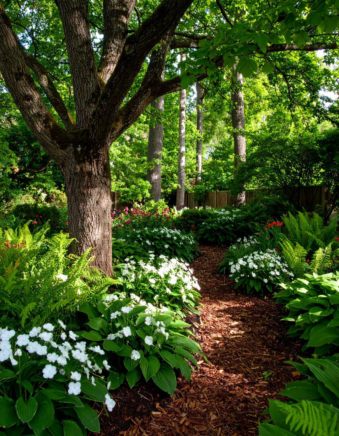 Shady Woodland Flower Bed - 30 backyard flower bed ideas