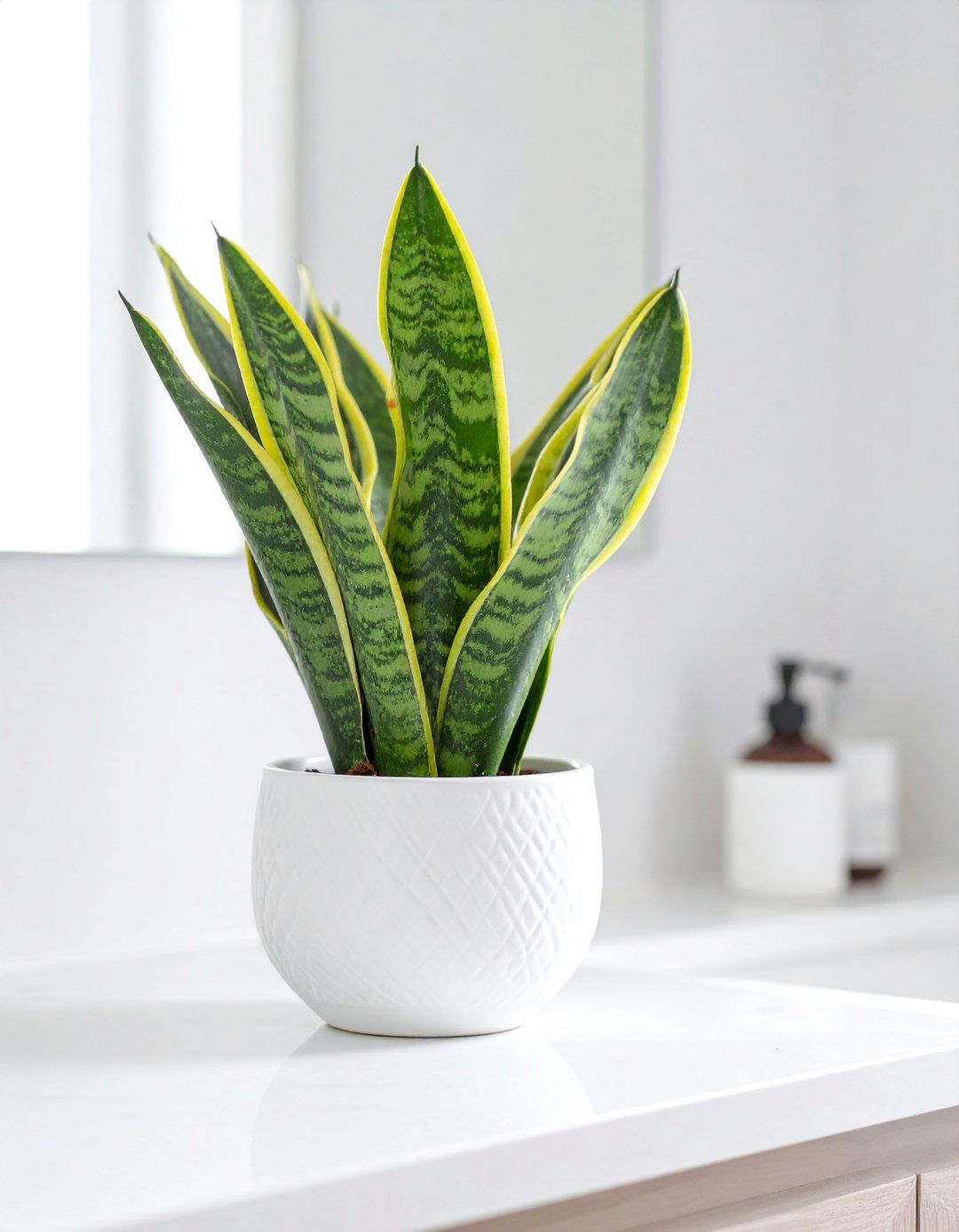 Single Statement Plant Pot - 30 bathroom counter organization ideas