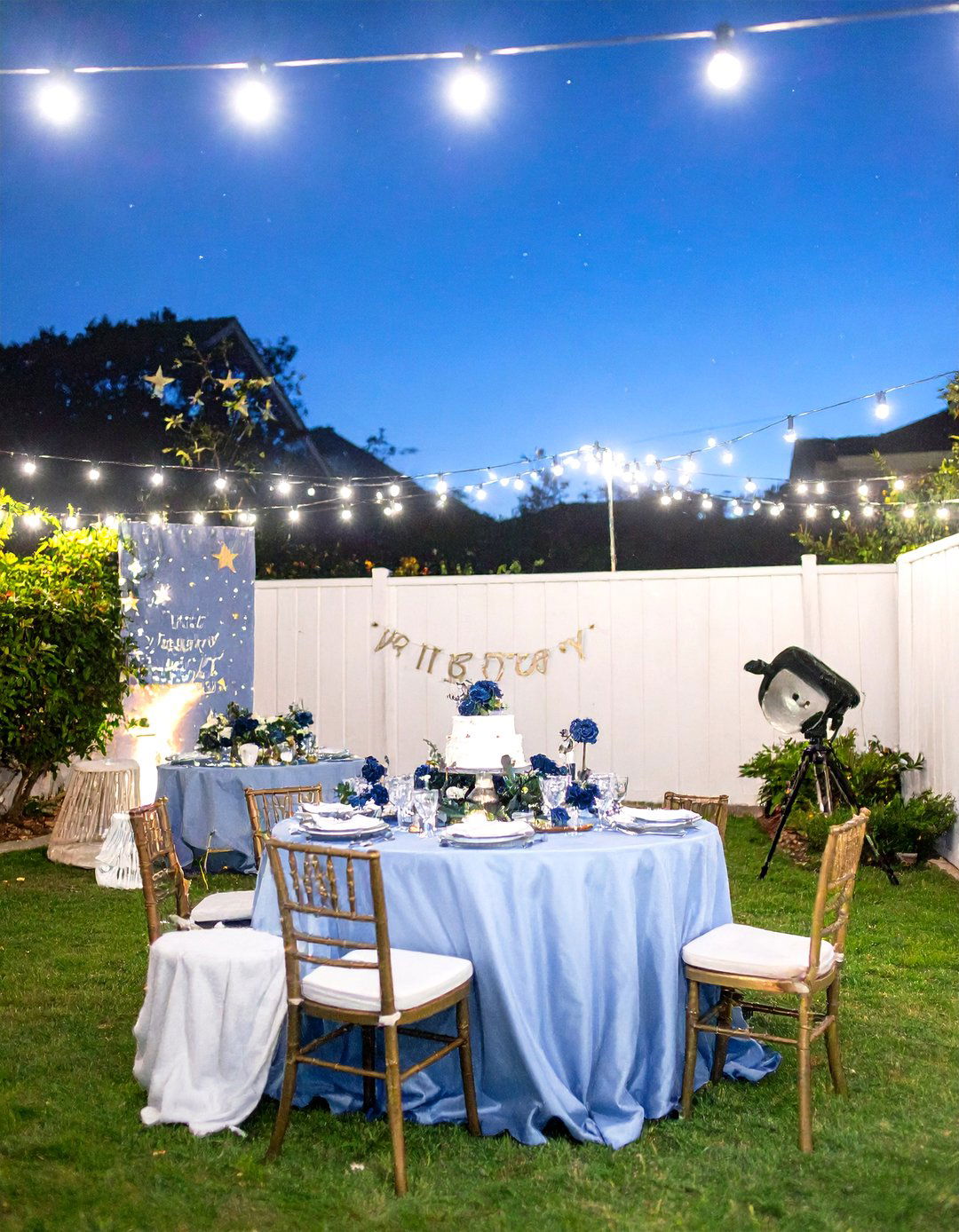 Stargazing Written in the Stars Party - 30 couples shower ideas