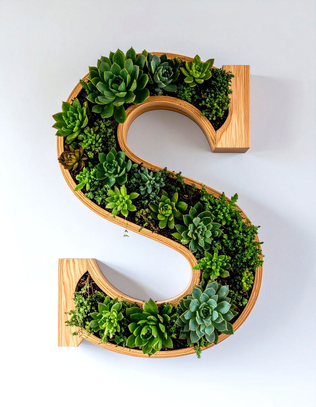 Succulent Monogram Letter - 30 succulent garden ideas