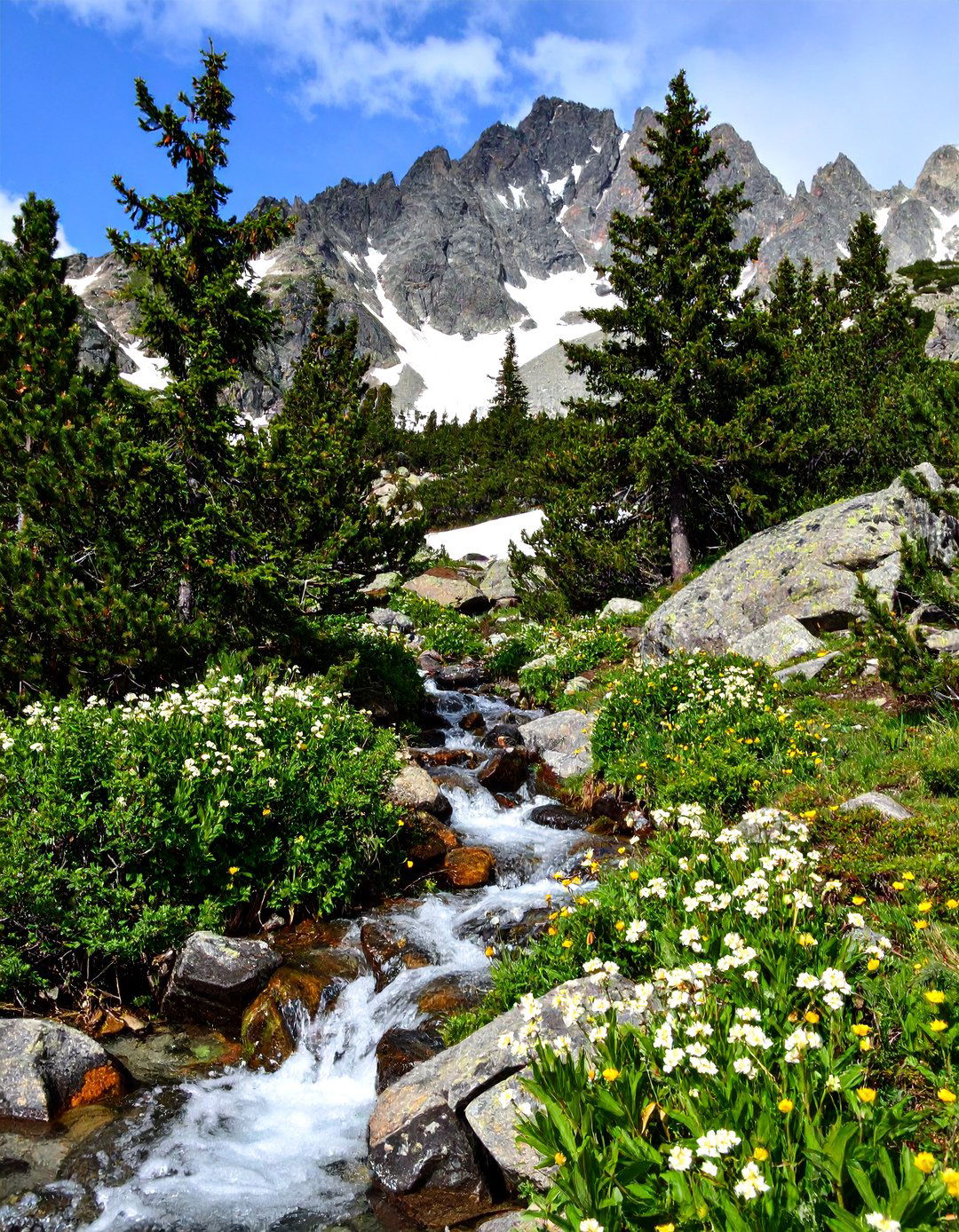The Alpine Mountain Trail - 30 lego ideas botanical garden