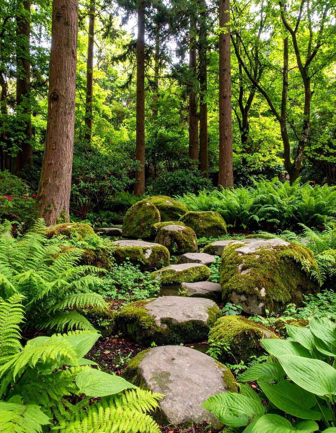 30 Front Yard Landscaping Ideas Modern Rock Garden Ideas