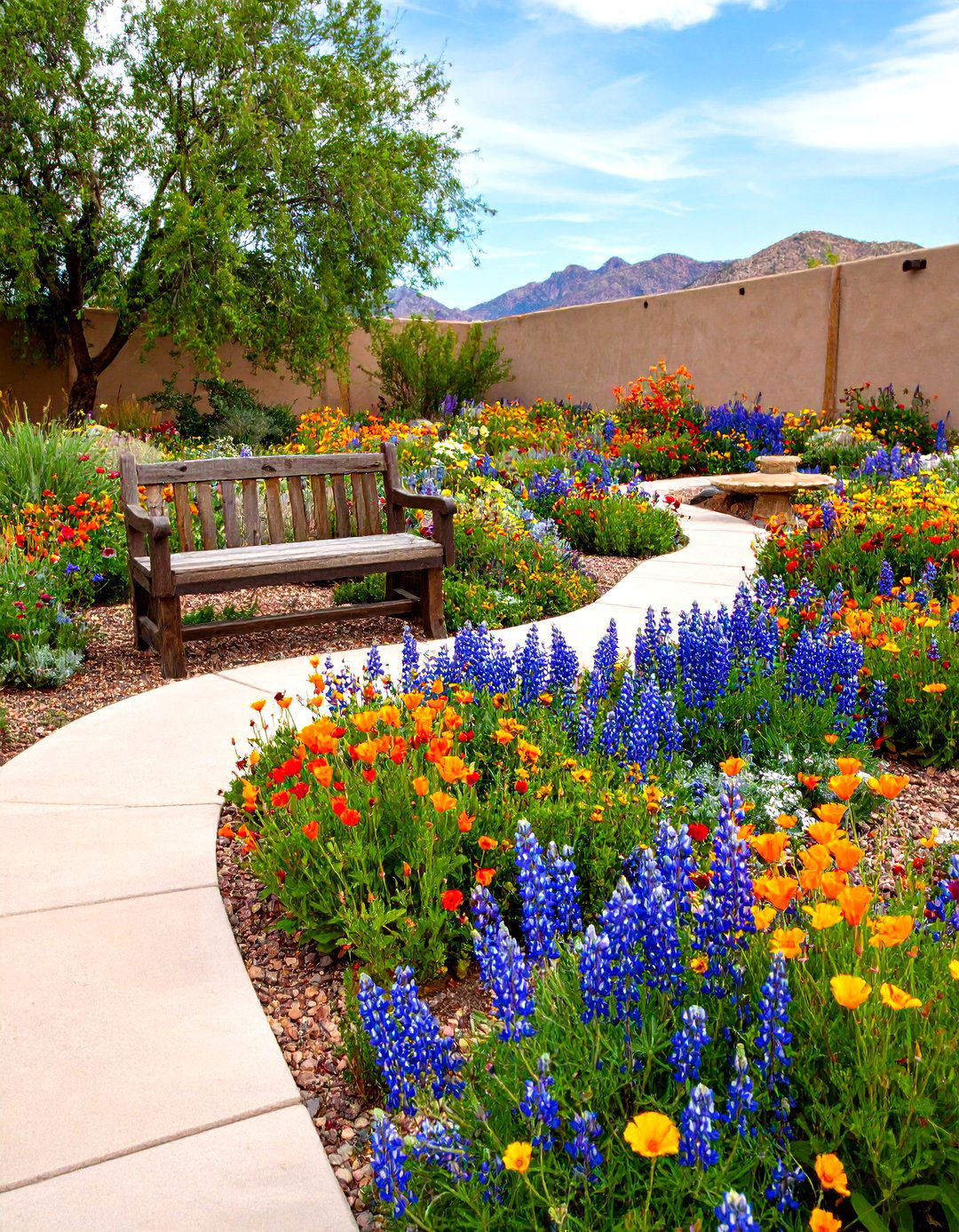 The Colorful Wildflower Meadow - 30 desert backyard ideas