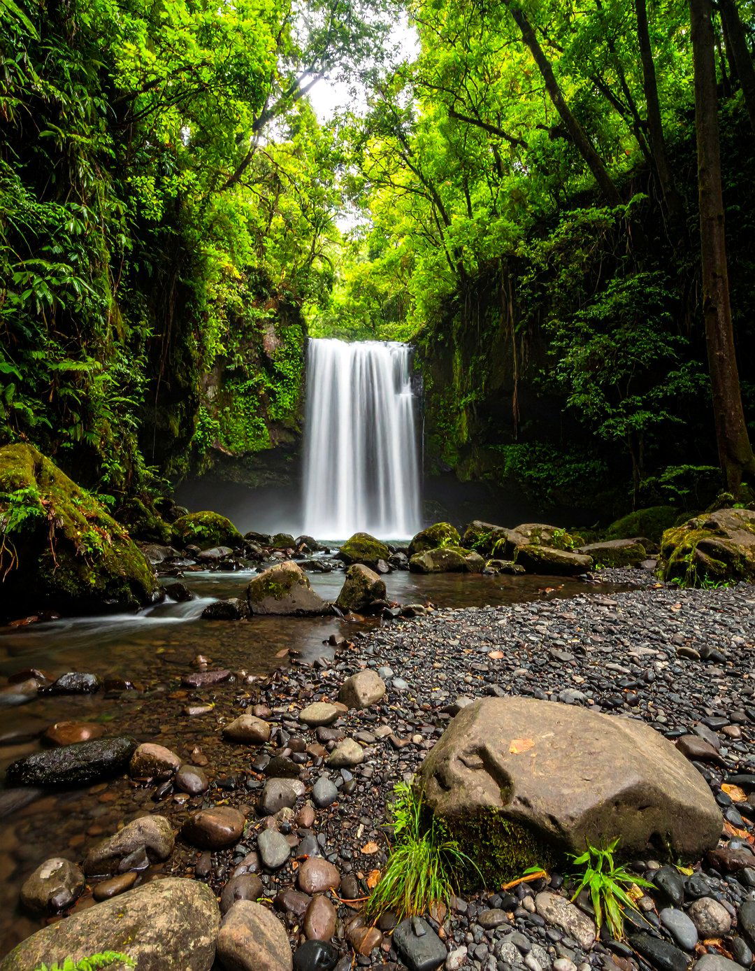 The Disappearing Waterfall and Pond - 30 garden pond ideas