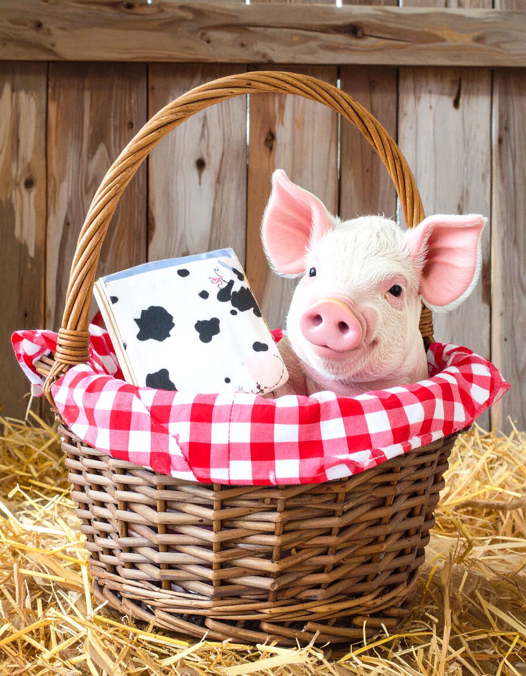 The Farm Friends Fun Basket - 30 homemade diy baby shower gift basket ideas