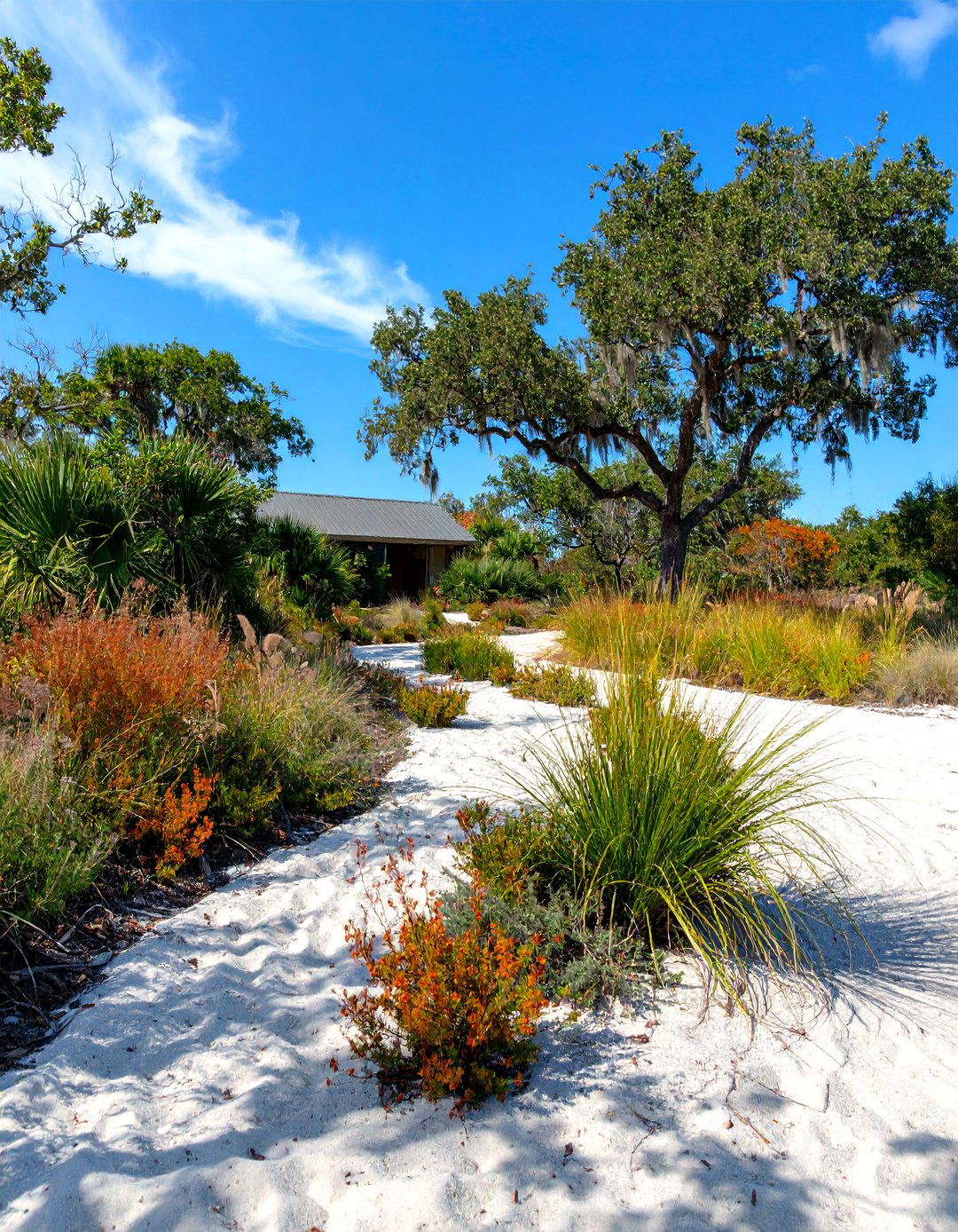 30 Low Maintenance Florida Landscaping Ideas for Your Yard