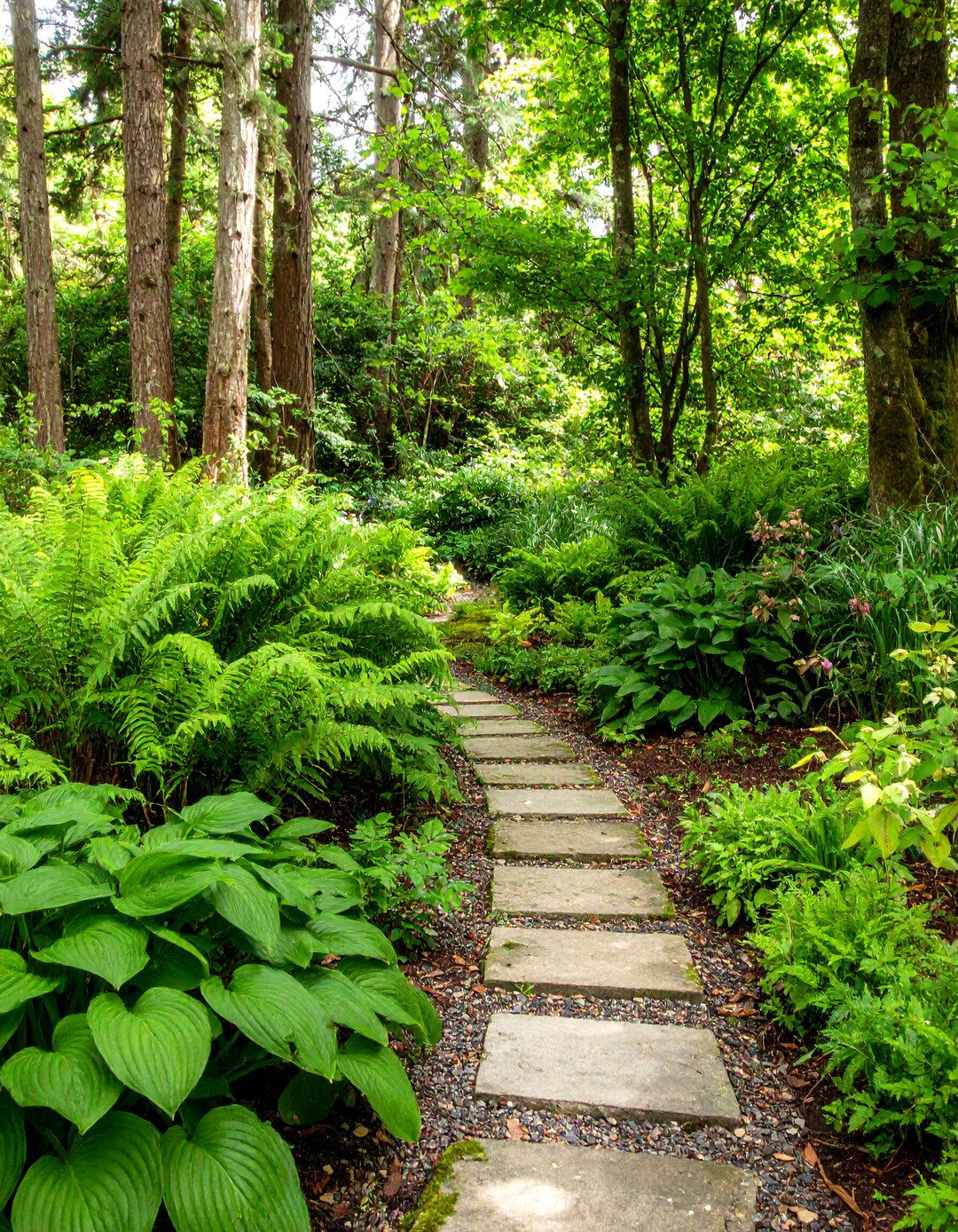 The Foliage Focused Shade Garden - 30 modern garden ideas