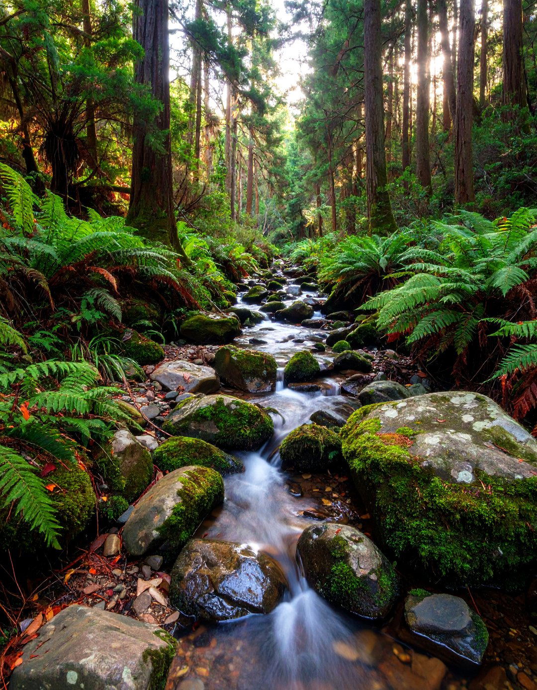 The Front Landscape with a Dry Creek Bed - 30 front landscape ideas
