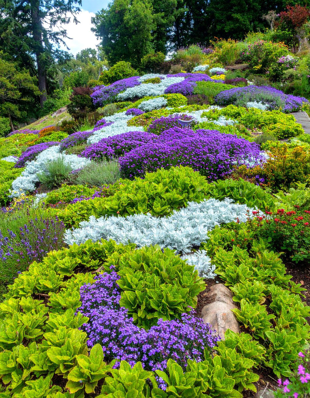 The Groundcover Tapestry - 30 hillside landscaping ideas on a budget