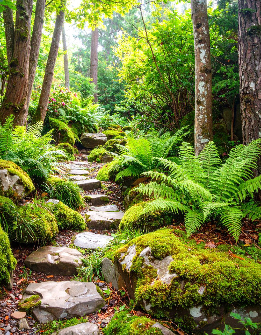 The Hardy Fern and Moss Gully Garden - 30 low maintenance japanese garden design ideas