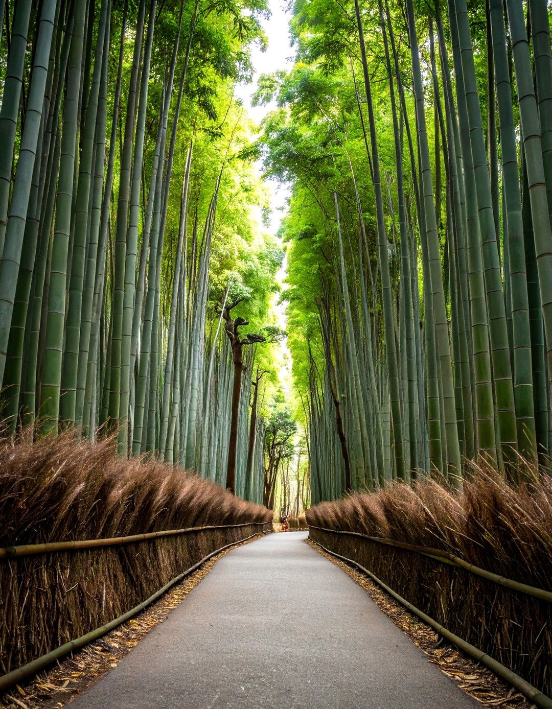 The Immersive Bamboo Grove - 30 commercial landscape design ideas