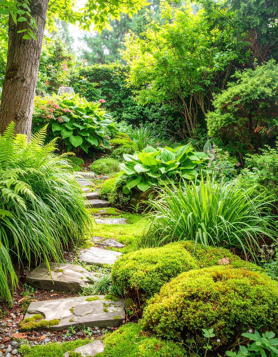 The Monochromatic Green Garden - 30 low maintenance japanese garden design ideas