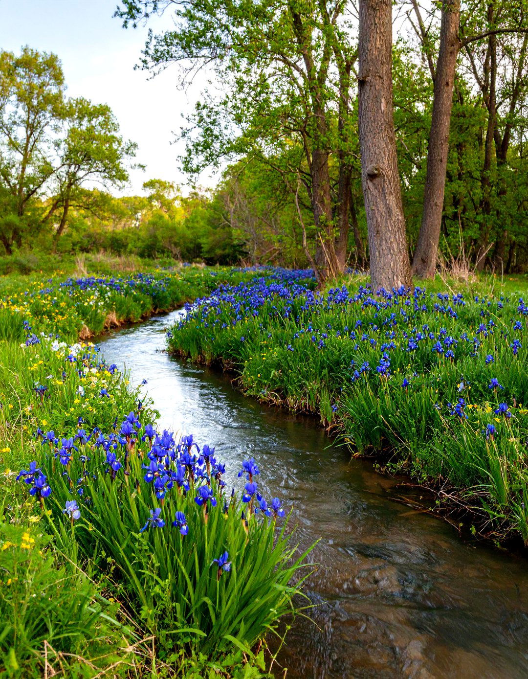 The Native Riparian Buffer Garden - 30 layout pollinator garden design plans ideas