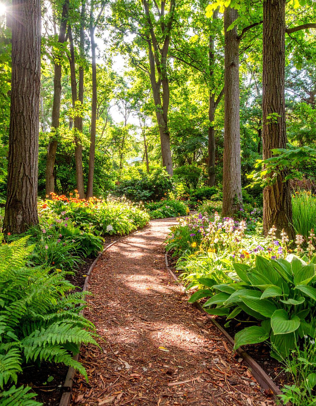 The Native Woodland Retreat - 30 front of house landscaping ideas