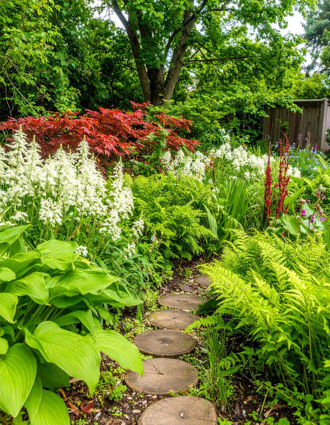 30 Landscape Ideas for Front of House Low Maintenance