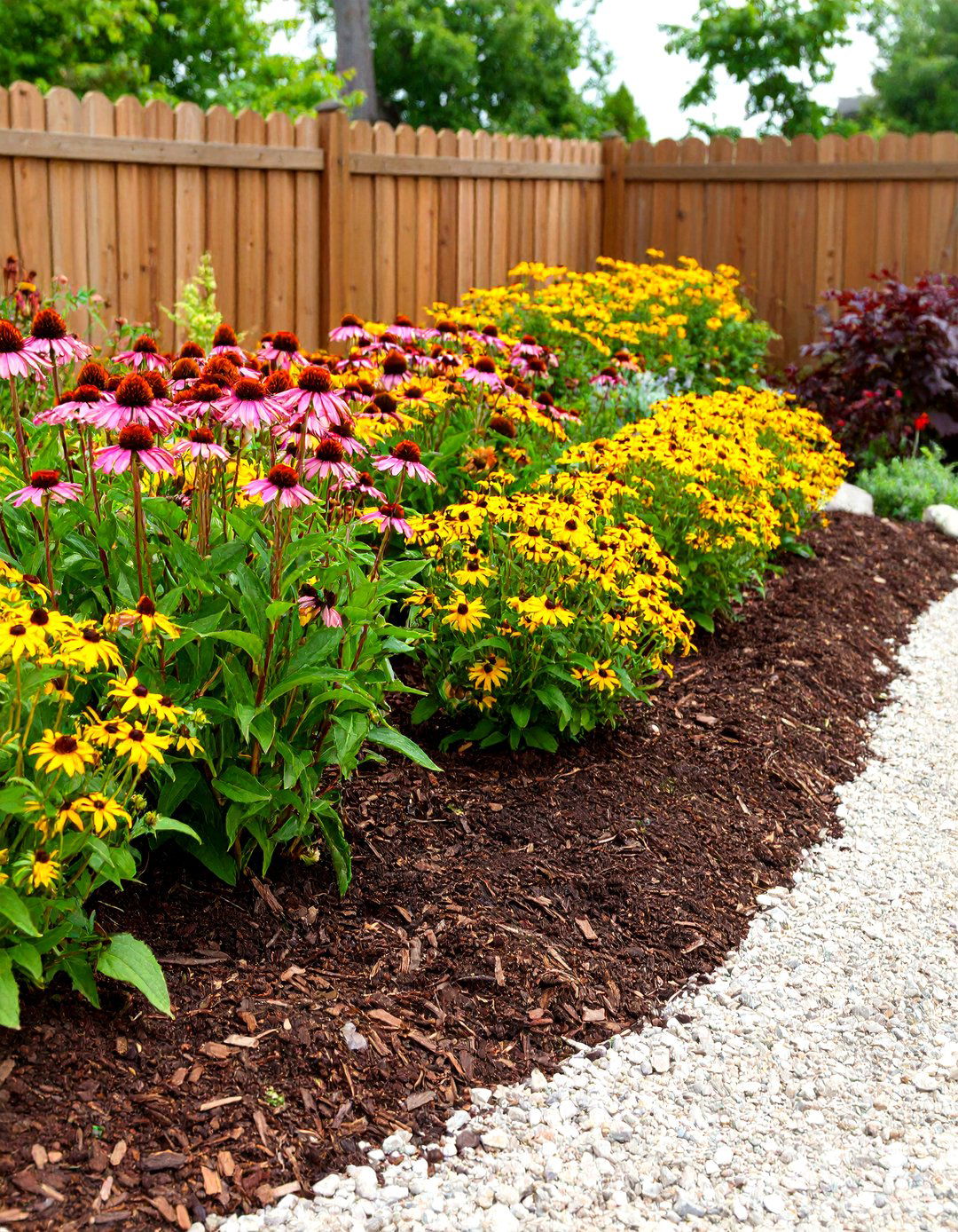 The Perennial Border with Mulch - 30 landscape ideas for front of house low maintenance