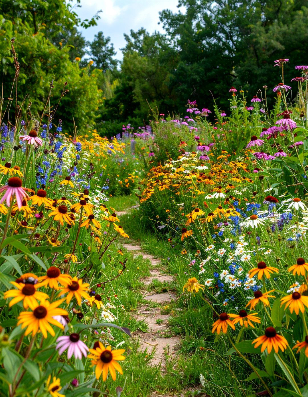 The Pollinator Friendly Meadow Lawn - 30 front lawn landscaping ideas