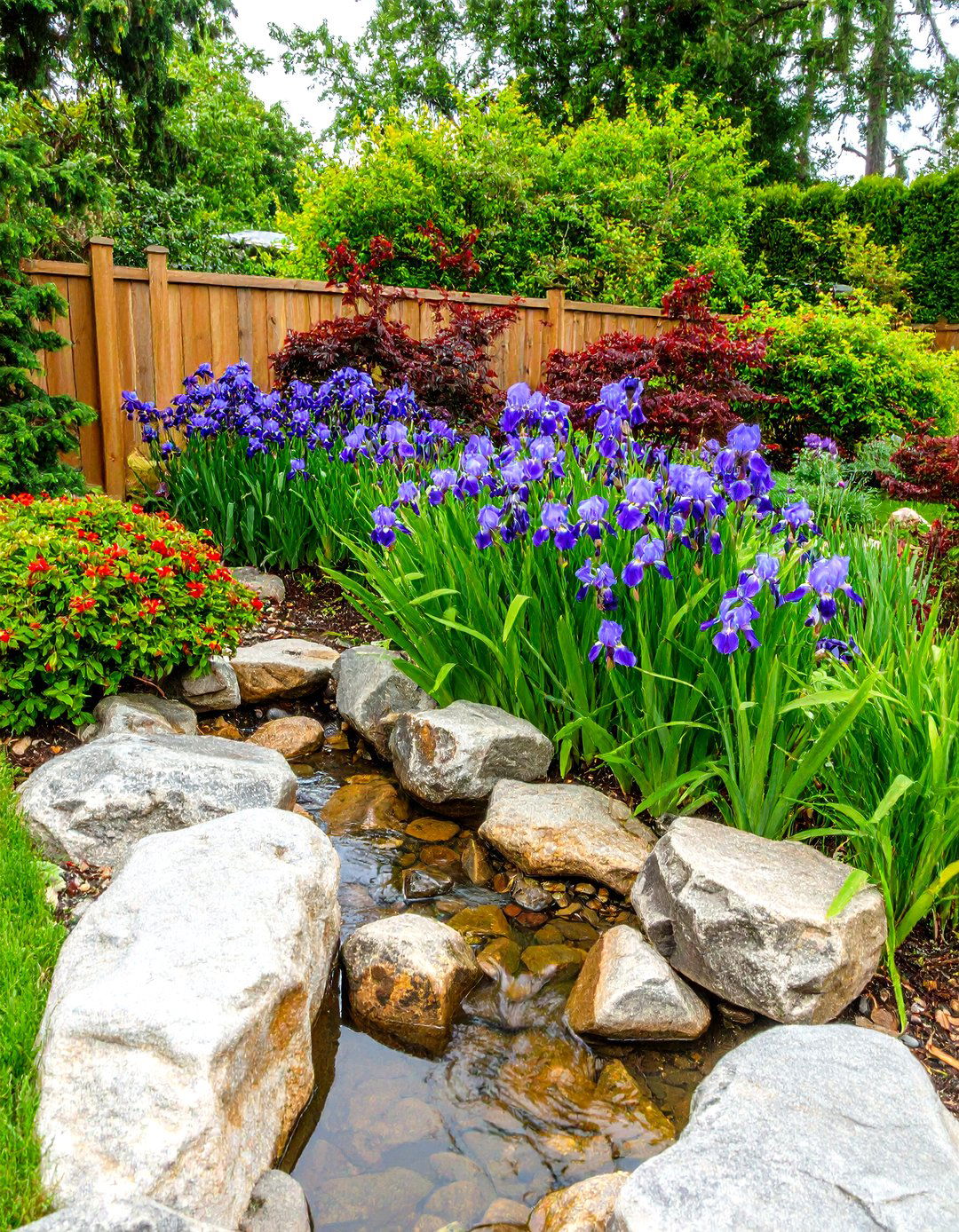 The Rain Garden Front Yard - 30 landscaping ideas for front yards