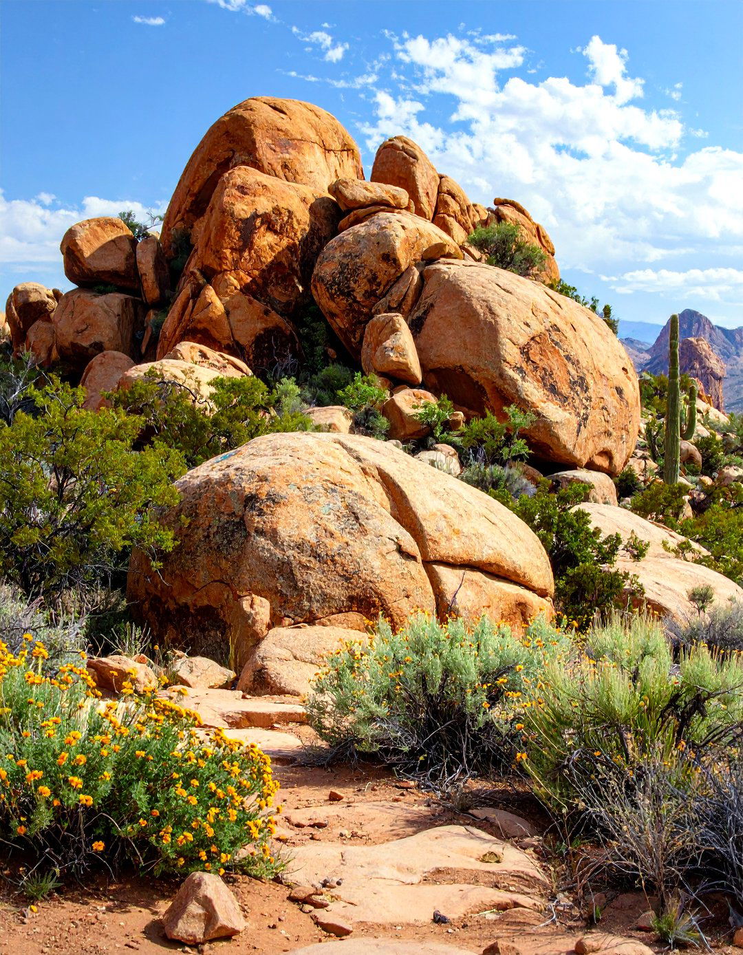 The Rustic Boulder Composition - 30 arizona landscape ideas