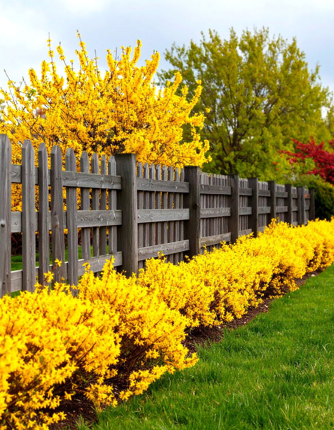 The Rustic Split Rail Fence and Border - 30 landscape design cost ideas