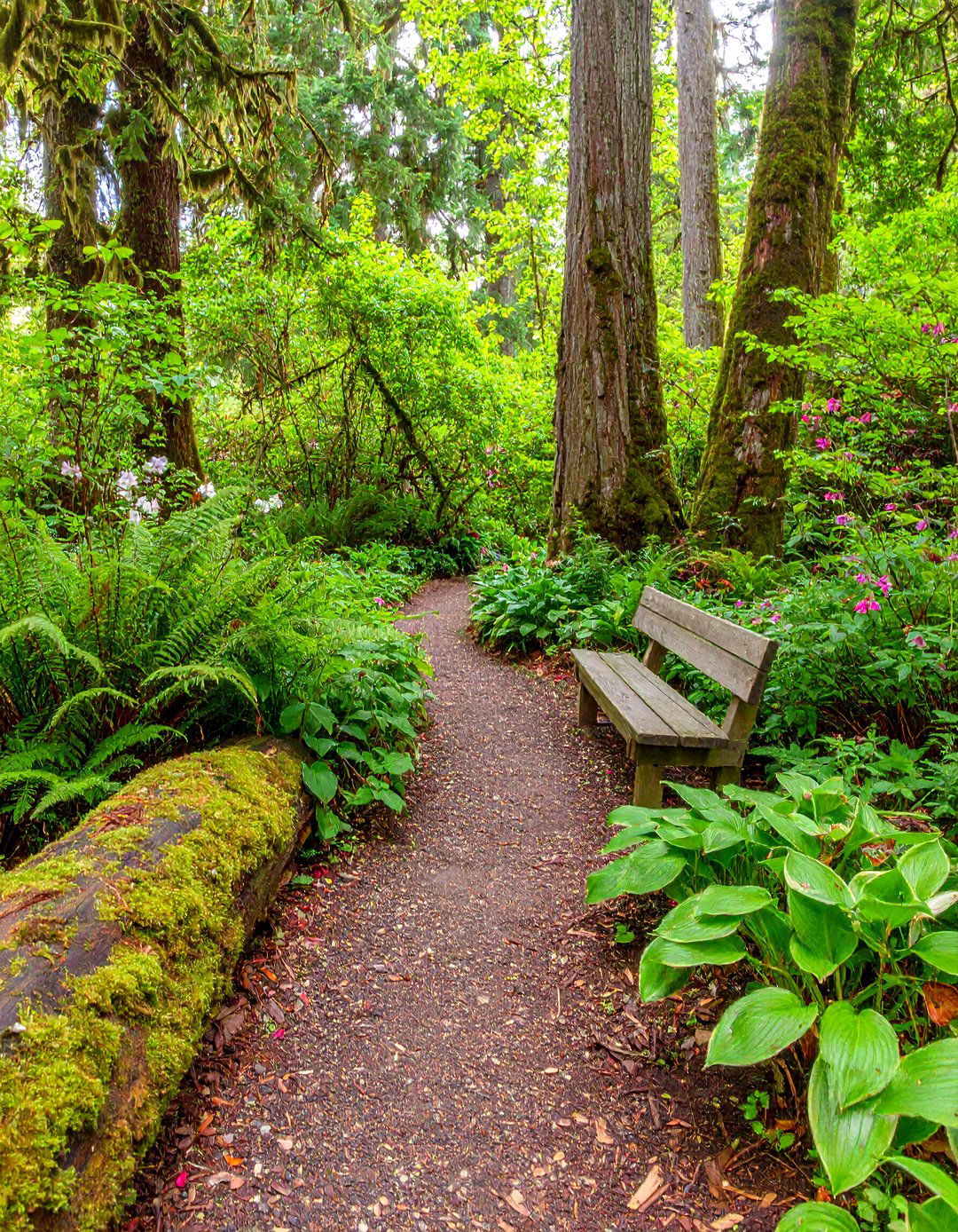 The Rustic Woodland Garden Ambiance - 30 garden landscape ideas