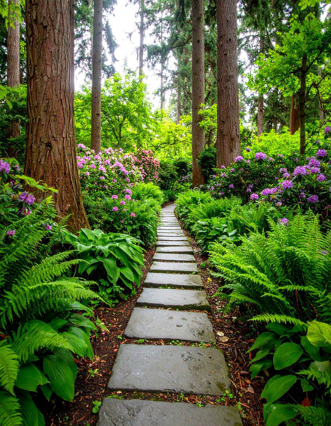 The Secluded Woodland Garden - 30 garden inspiration