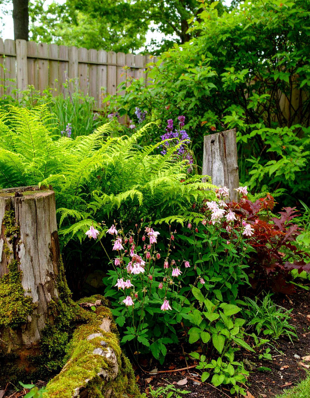 The Shaded Fern Grotto Pollinator Garden - 30 layout pollinator garden design plans ideas
