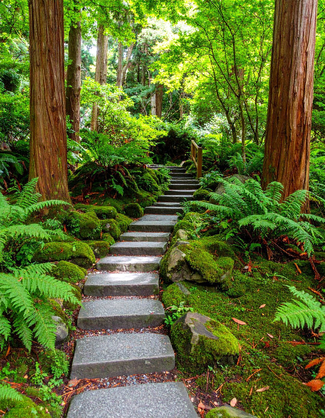The Shaded Fern and Moss Retreat - 30 japanese garden ideas