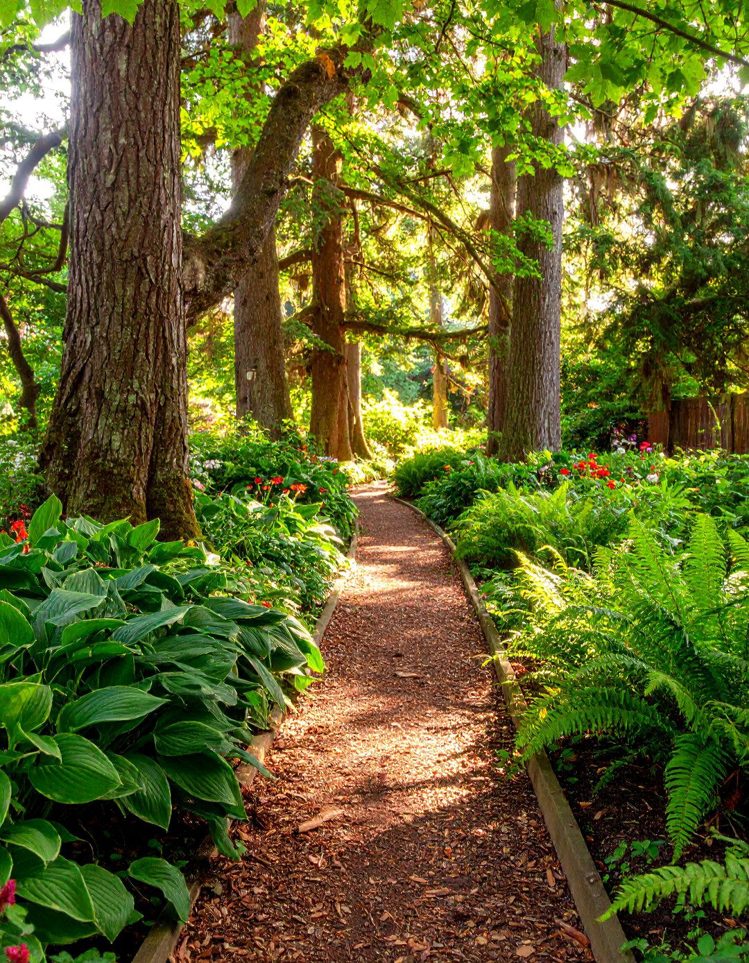 The Shaded Woodland Path Garden - 30 landscaping ideas for front yard