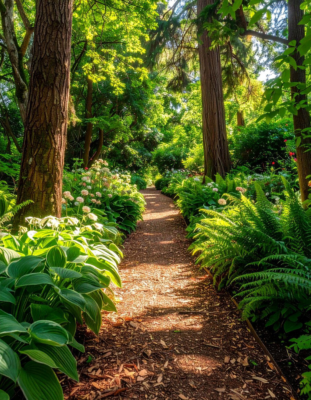 The Shaded Woodland Walkway - 30 layout landscape design plans ideas