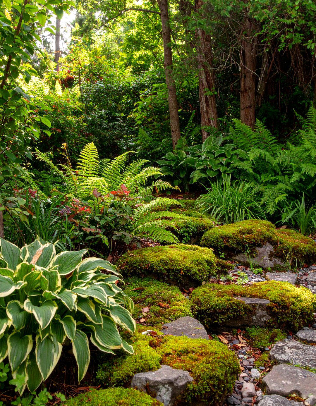 30 Budget Small Garden Ideas for Any Home Decor