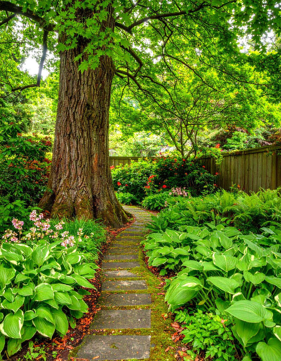 The Shady and Serene Front Yard - 30 landscaping ideas for front yards