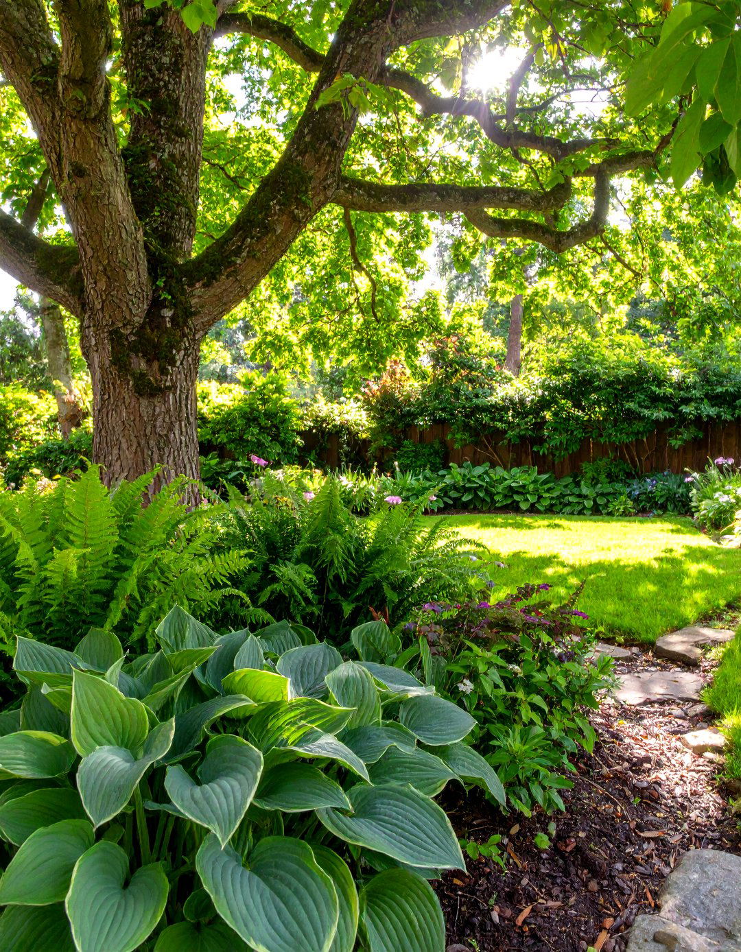 The Shady and Serene Hostas Garden - 30 curb appeal front yard landscaping ideas