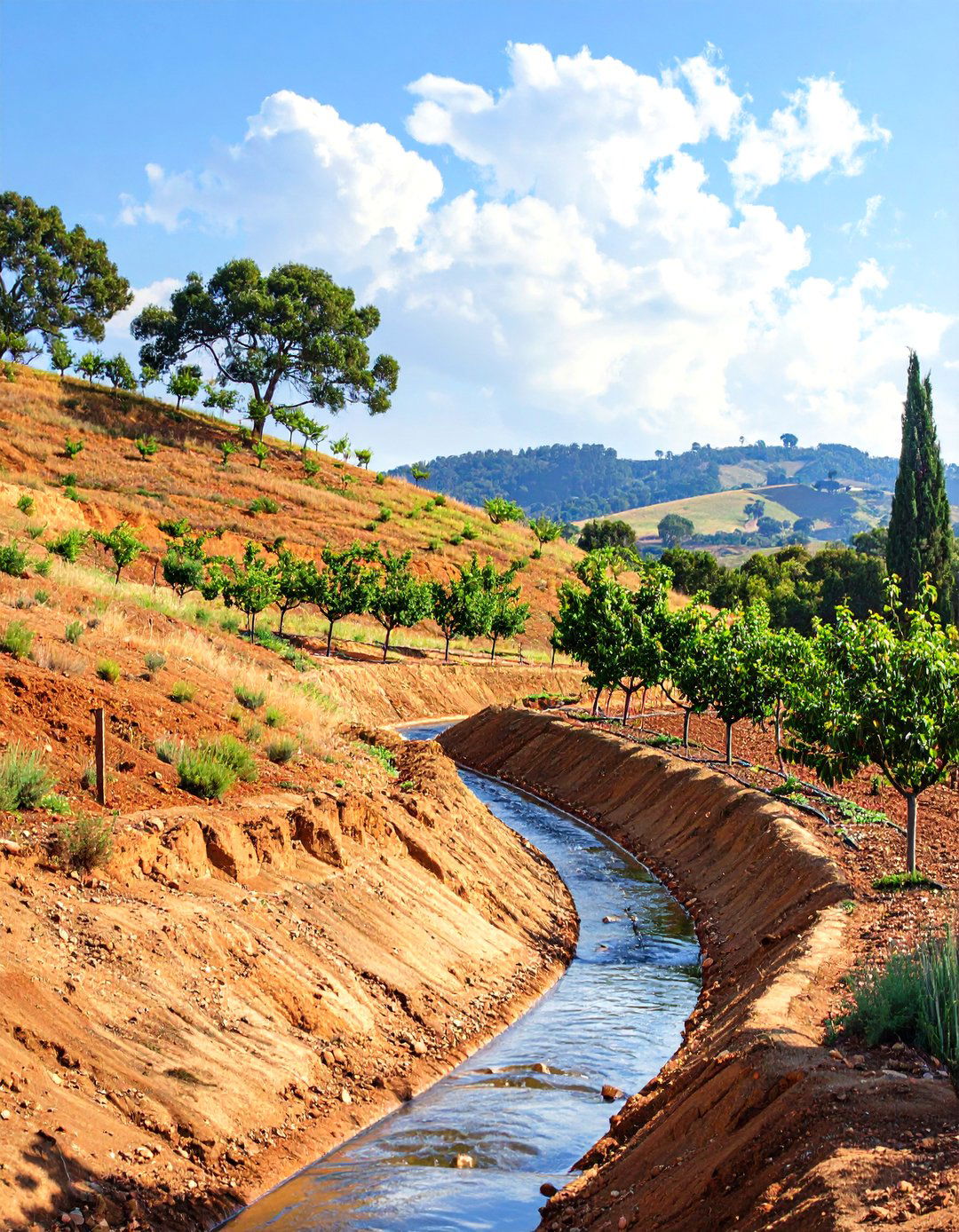 The Simple Berm and Swale System - 30 hillside landscaping ideas on a budget
