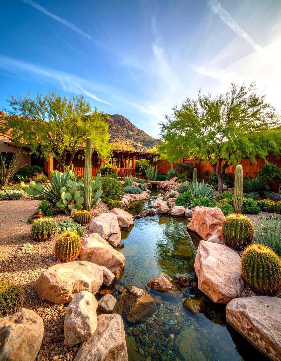 The Sonoran Desert Oasis - 30 desert landscaping ideas