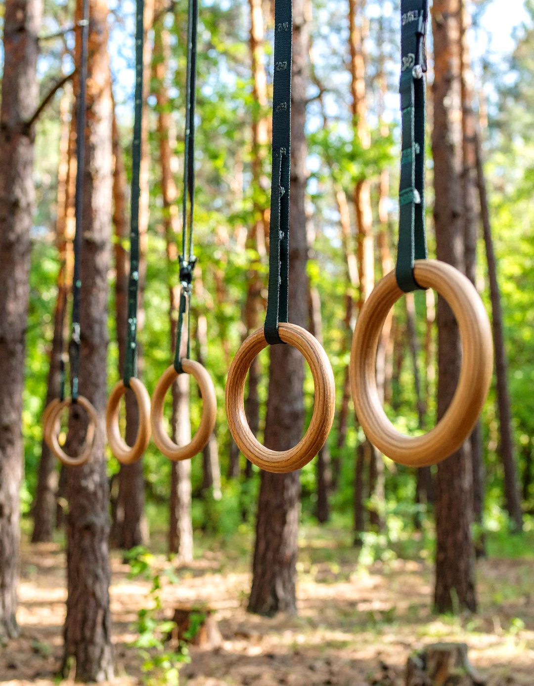 The Suspension Training Forest - 30 backyard gym ideas
