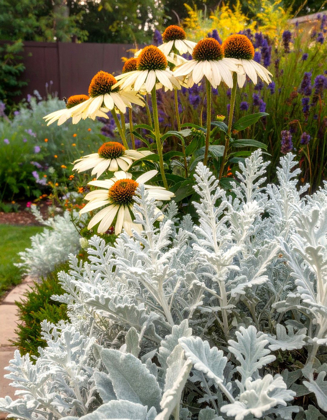 The Textured Foliage and Coneflower Garden - 30 coneflower garden design ideas