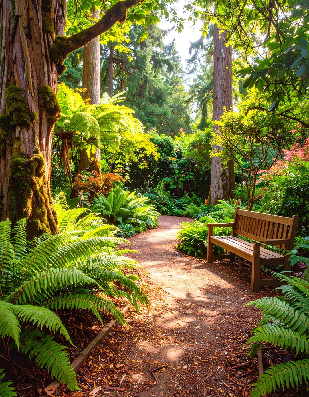 The Woodland Retreat Backyard - 30 outdoor backyard ideas