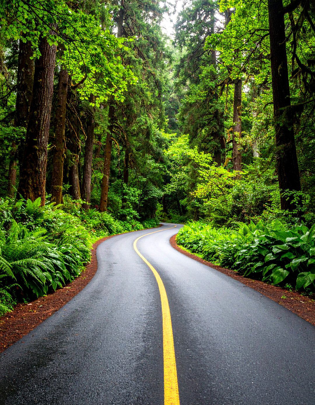 The Woodland Retreat Driveway - 30 driveway landscaping ideas