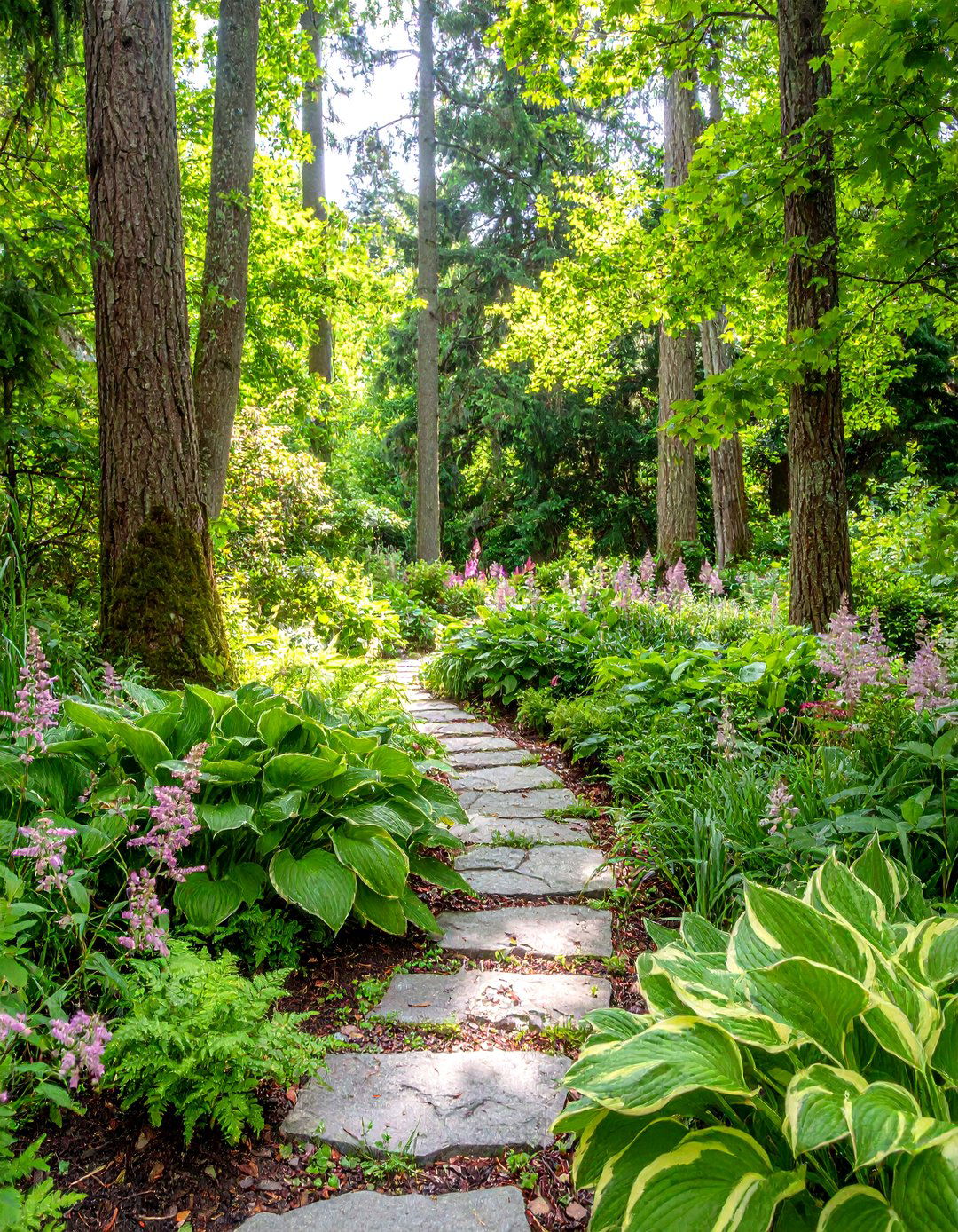 The Woodland Shade Garden - 30 low maintenance garden ideas