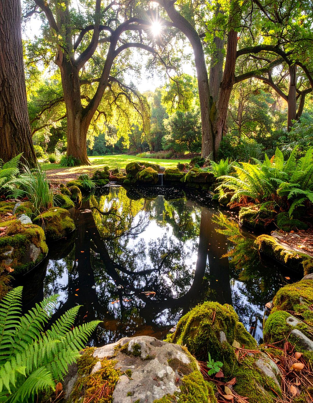 The Woodland Shade Pond - 30 backyard pond ideas