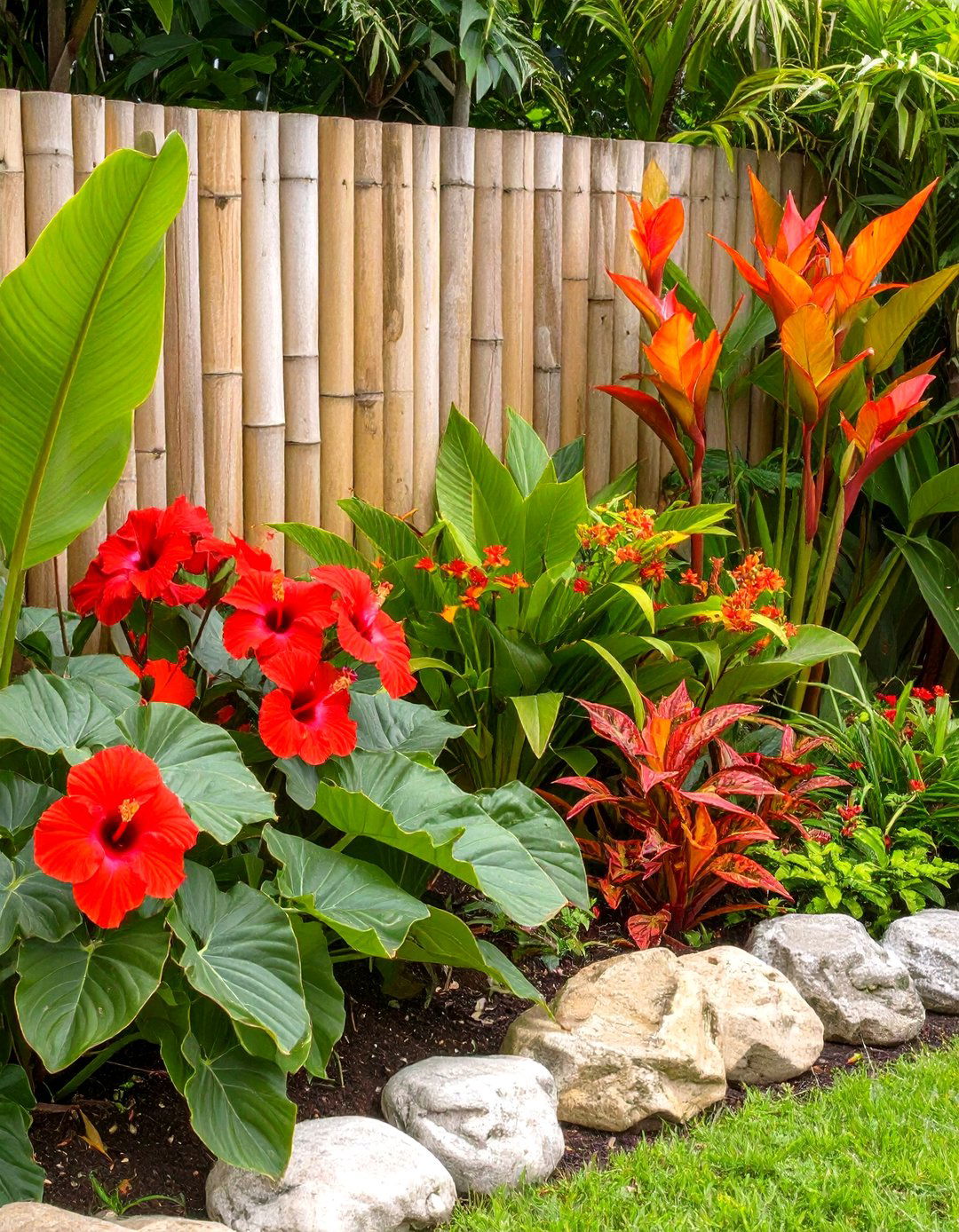 Tropical Paradise Flower Bed Garden - 30 flower bed garden ideas