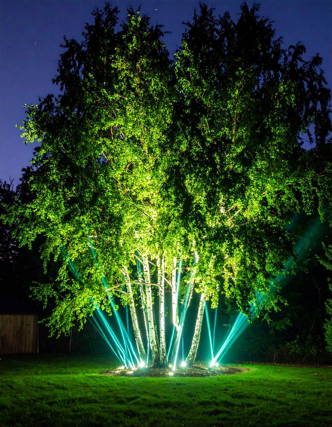 Twinkling Laser Light Projection on Canopies - 30 outdoor tree lighting ideas
