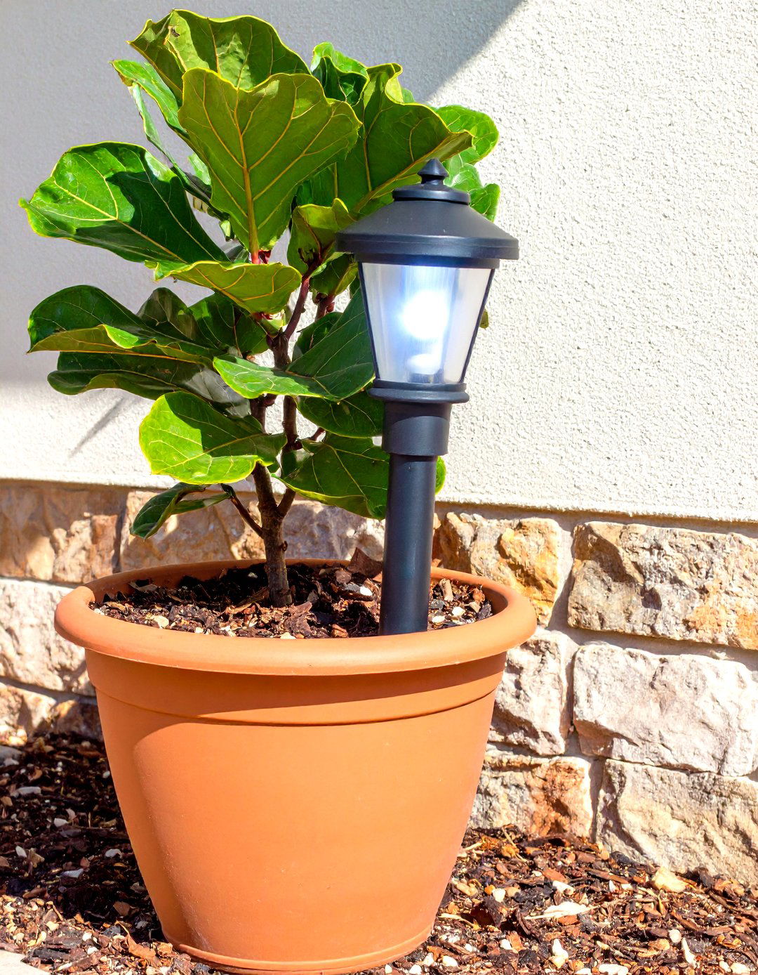 Uplighting Patio Planters and Greenery - 30 patio lighting ideas