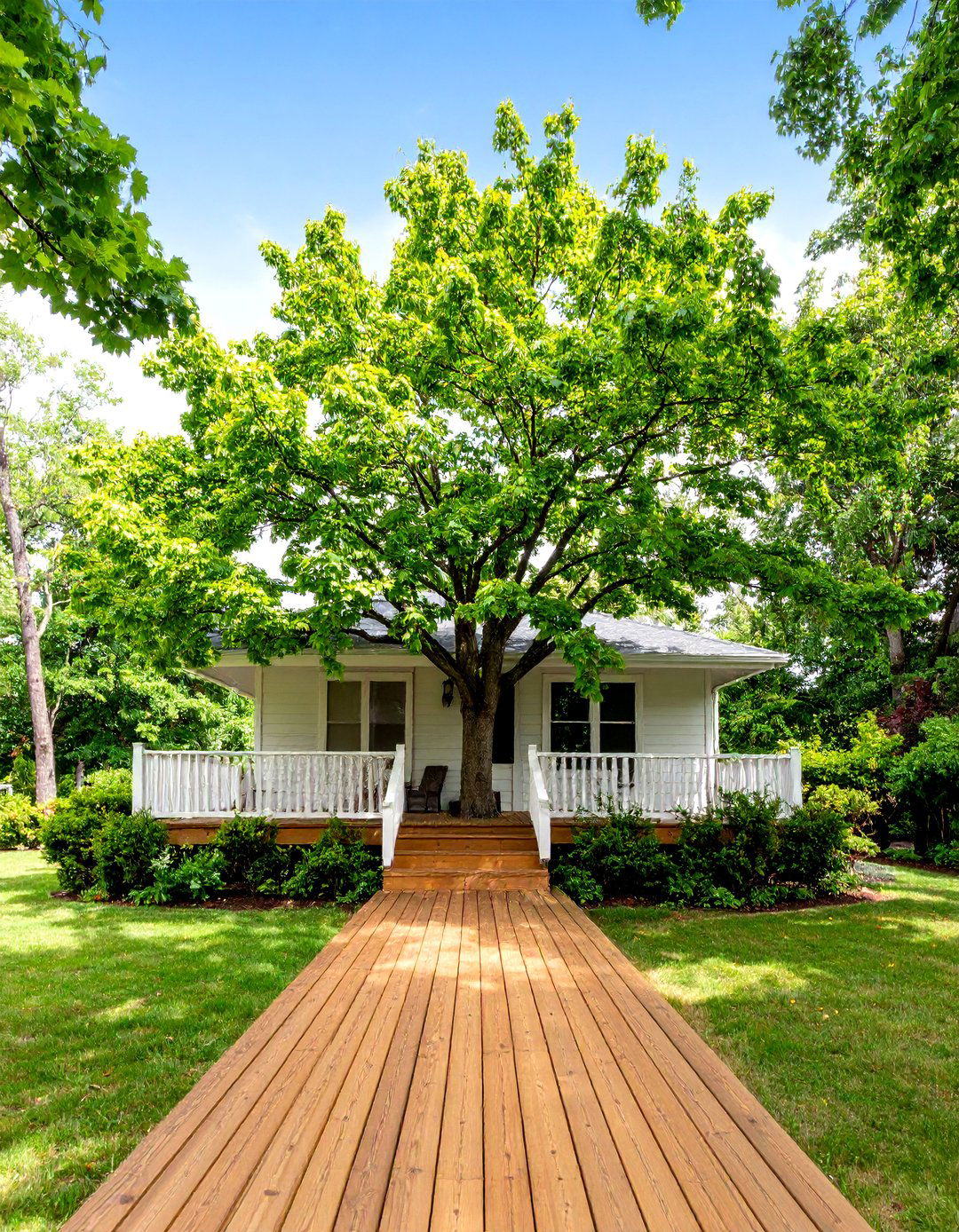 Using Deciduous Trees for Seasonal Privacy - 30 privacy landscaping ideas