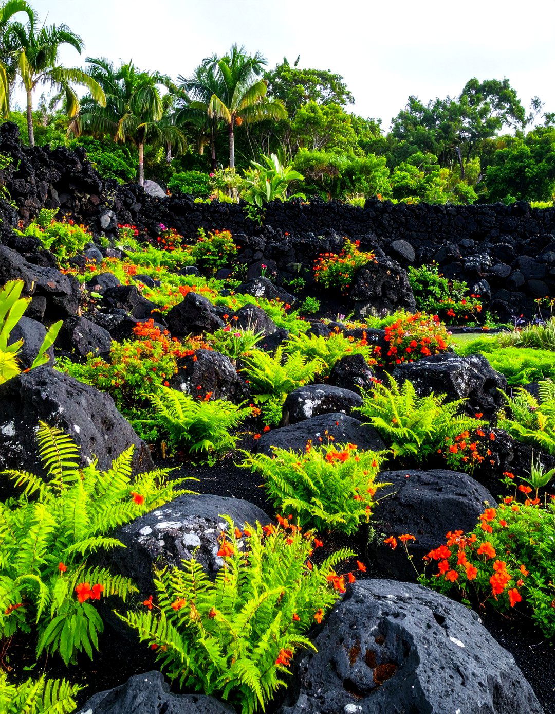 Volcanic Rock Garden Landscape - 30 rock garden landscaping ideas