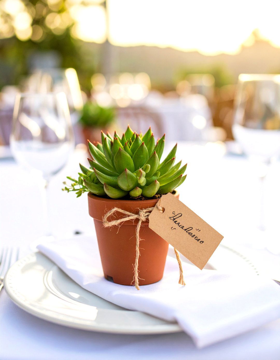 Wedding Favors That Double as Decor - 30 outdoor wedding ideas on a budget