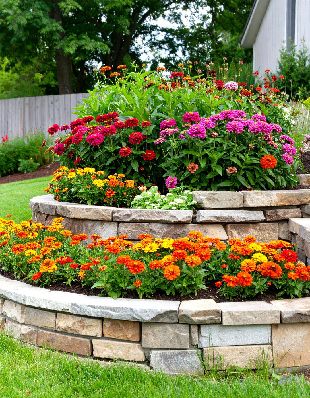 30 Colorful Zinnia Garden Ideas for Your Outdoor Space