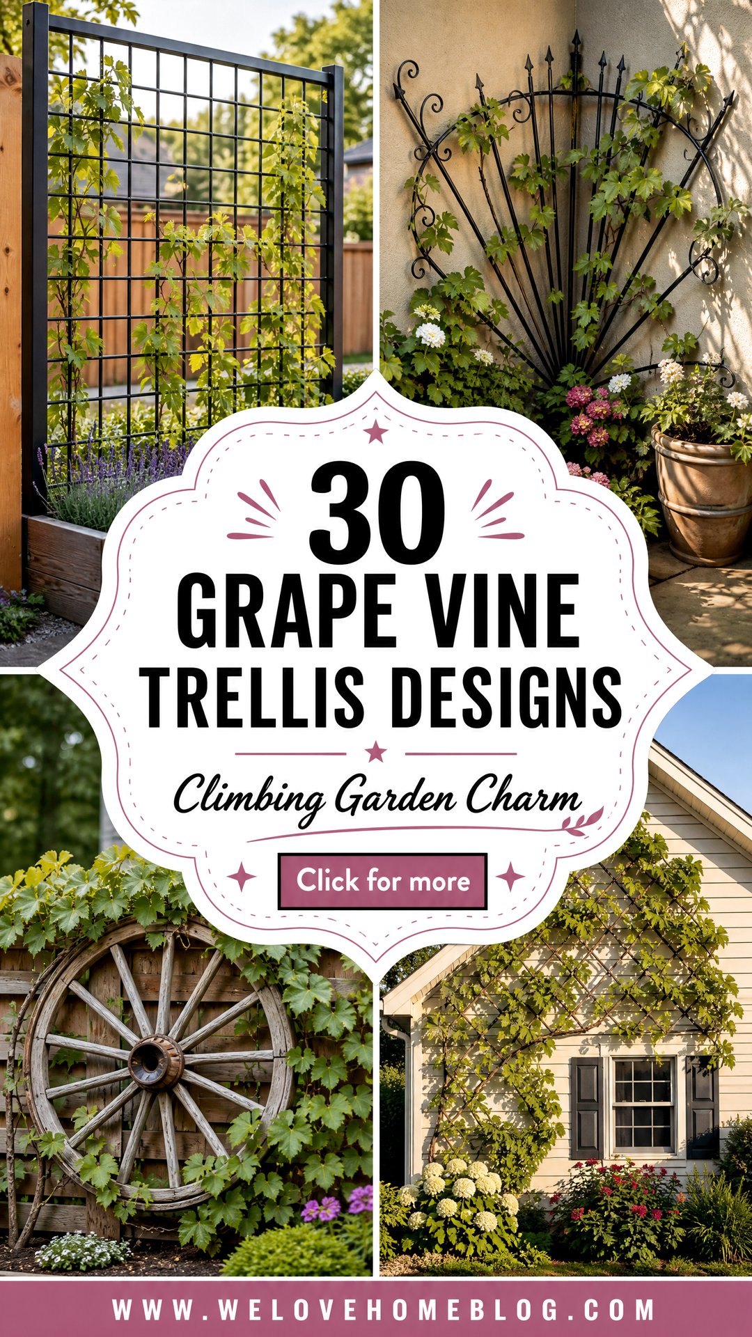 30 Creative Easy Backyard Grape Vine Trellis Designs - 30 Creative Easy Backyard Grape Vine Trellis Designs