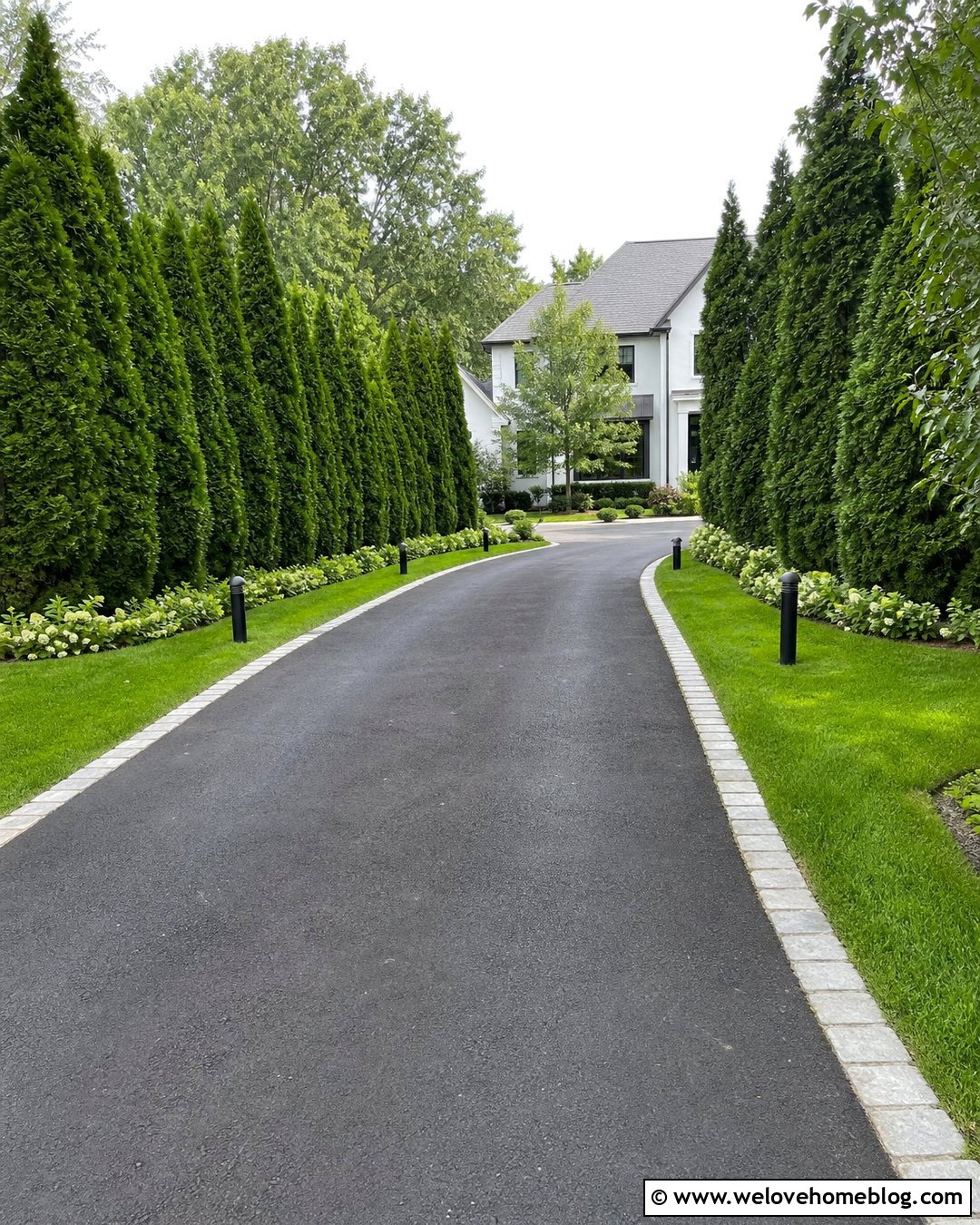 Arborvitae Tree Lined Private Driveway - 25 trees lining driveway ideas